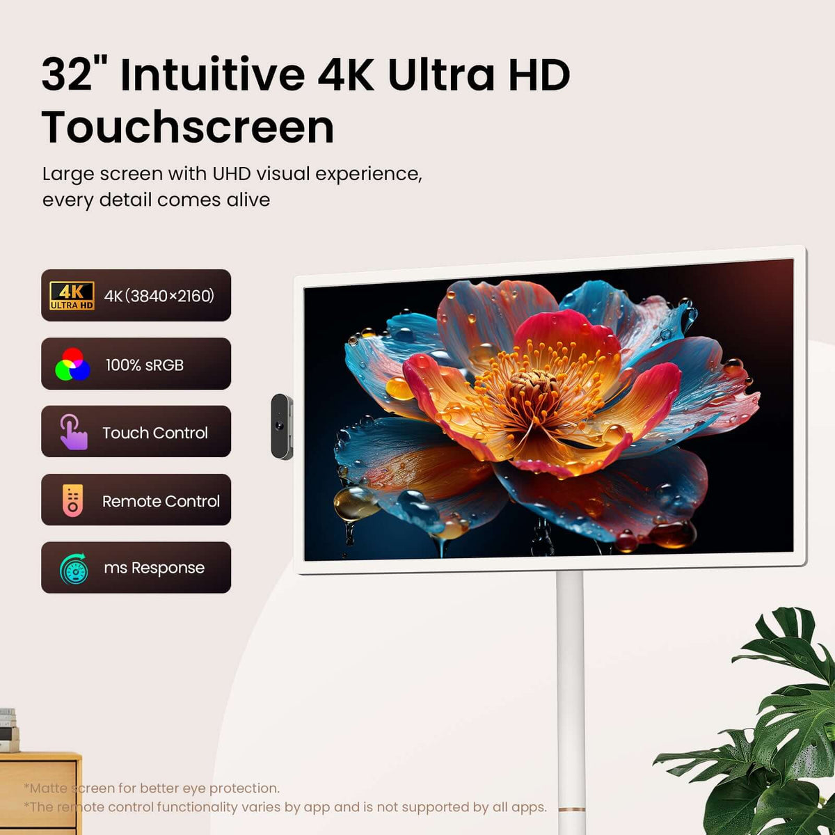 Smart Portable TV