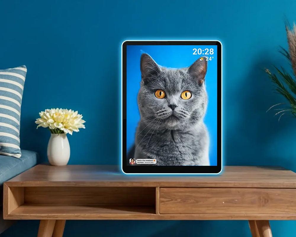 Digital photo frame reference scene